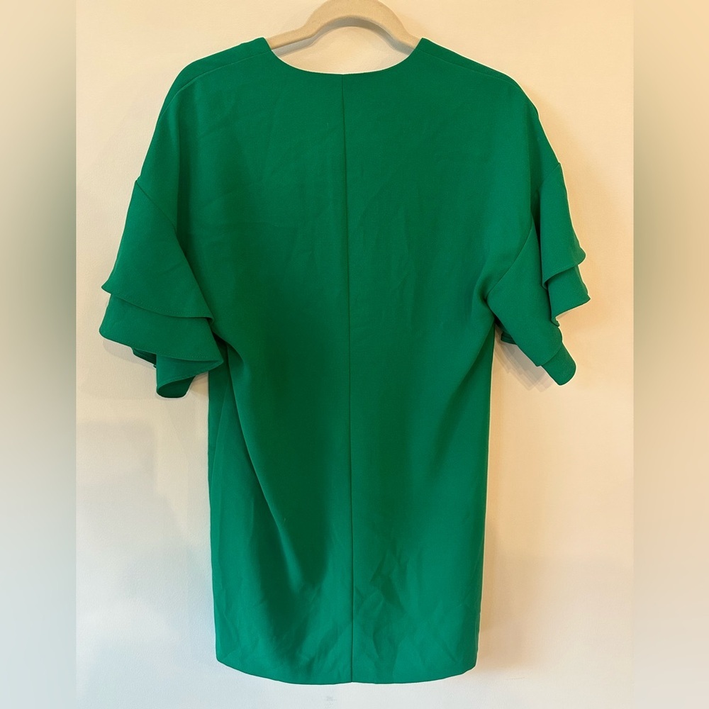 Zara Mini Dress - Picture 6 of 6